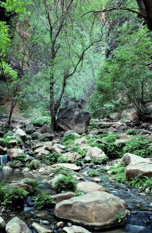 Oak Creek Tour from Across Arizona Tours